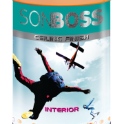 SonBoss-Ceiling-finish