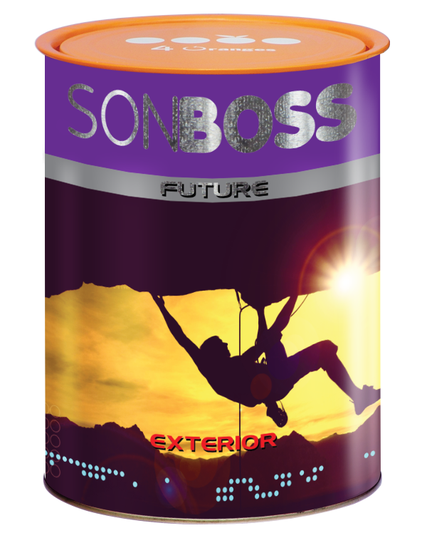 SonBoss-Ext-Future